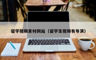 大丰留学视频素材网站（留学生视频有导演）