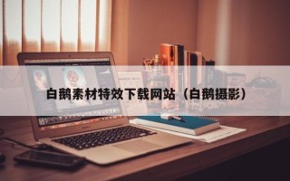 大丰白鹅素材特效下载网站（白鹅摄影）